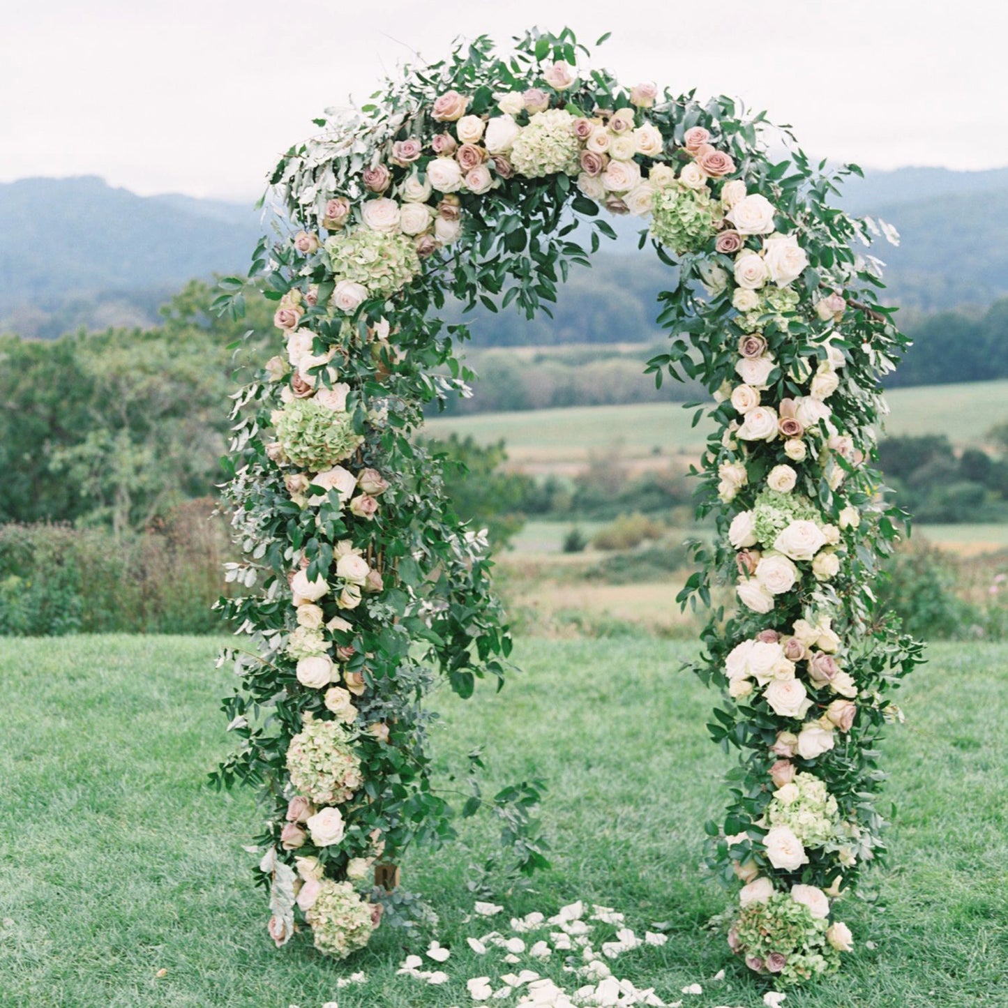 Metal Garden Arch Trellis; Adjustable Arbor Trellis for Garden Climbing Plants Support or Wedding Decor