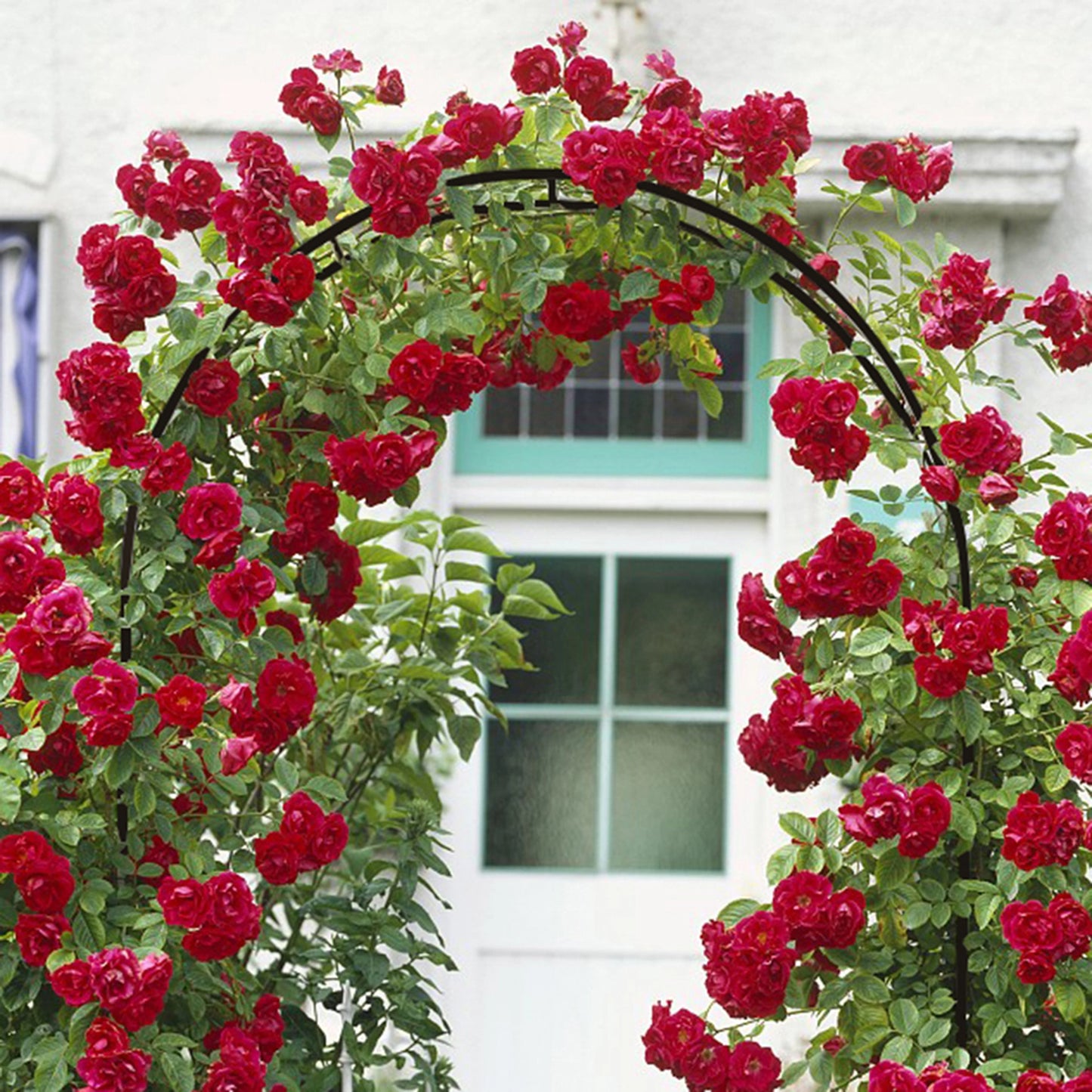 Metal Garden Arch Trellis; Adjustable Arbor Trellis for Garden Climbing Plants Support or Wedding Decor